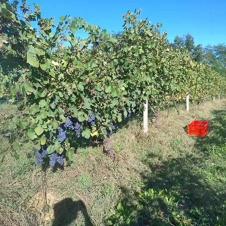 Cascina Ponchietta Casa di campagna *