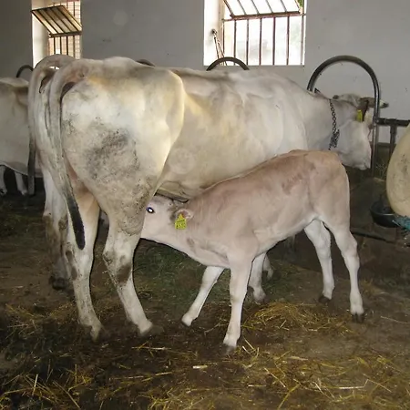 Séjour à la campagne Cascina Ponchietta Montà